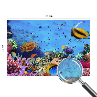 3D fototapet med motiv av ett korallrev