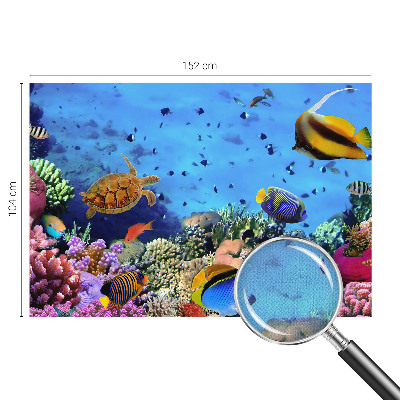 3D fototapet med motiv av ett korallrev