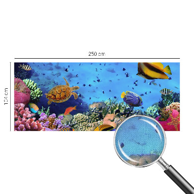 3D fototapet med motiv av ett korallrev