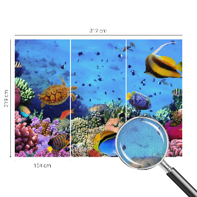 3D fototapet med motiv av ett korallrev