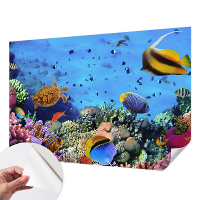 3D fototapet med motiv av ett korallrev
