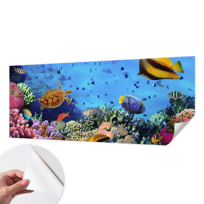 3D fototapet med motiv av ett korallrev