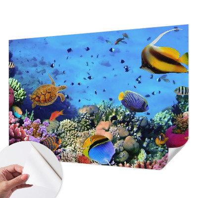 3D fototapet med motiv av ett korallrev