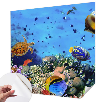 3D fototapet med motiv av ett korallrev