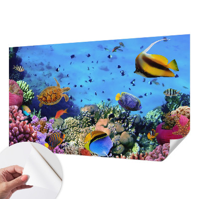 3D fototapet med motiv av ett korallrev