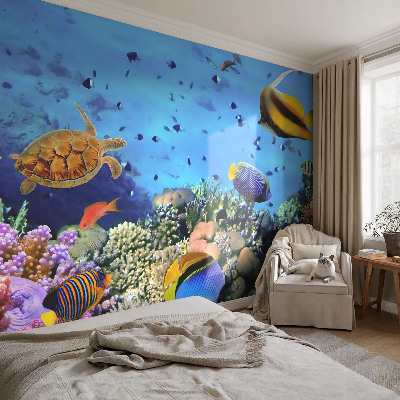 3D fototapet med motiv av ett korallrev
