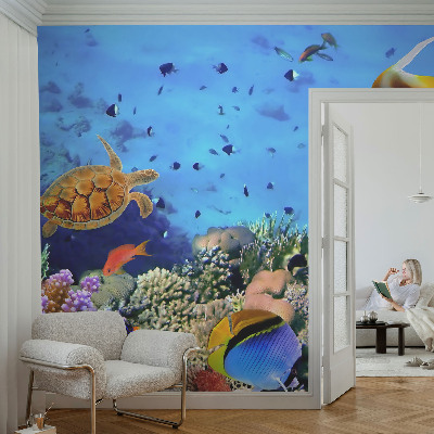 3D fototapet med motiv av ett korallrev