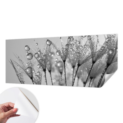 Fototapet barn Våt delikatess
