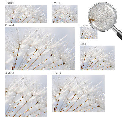 Fototapet för barn Rosfärgad maskros