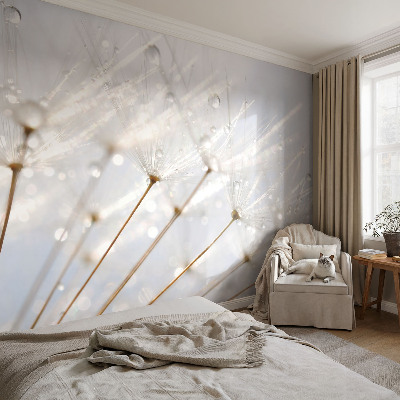 Fototapet för barn Rosfärgad maskros