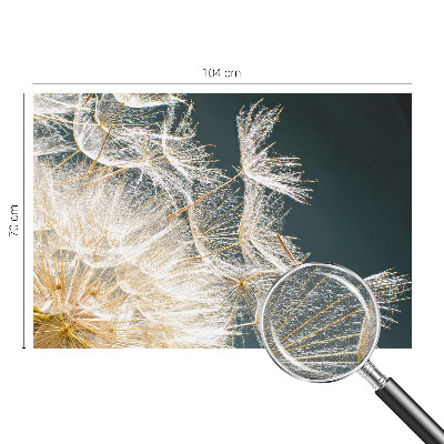 Fototapet barn Maskros av lätthet