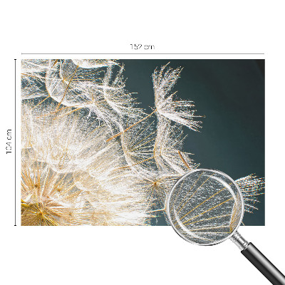 Fototapet barn Maskros av lätthet