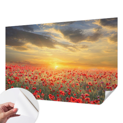 3D fototapet med motiv av ett vallmofält