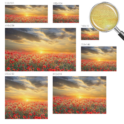 3D fototapet Vallmofält