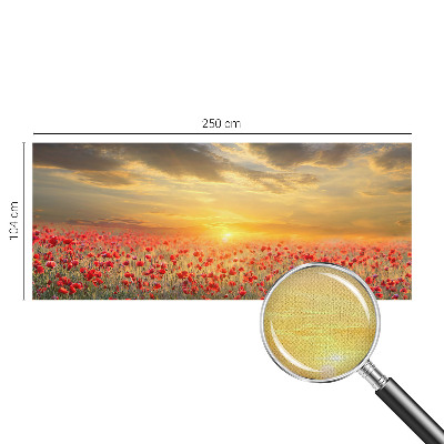 3D fototapet Vallmofält
