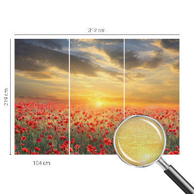 3D fototapet Vallmofält
