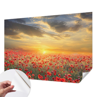 3D fototapet med motiv av ett vallmofält