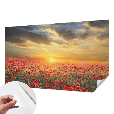 3D fototapet med motiv av ett vallmofält