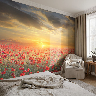 3D fototapet med motiv av ett vallmofält