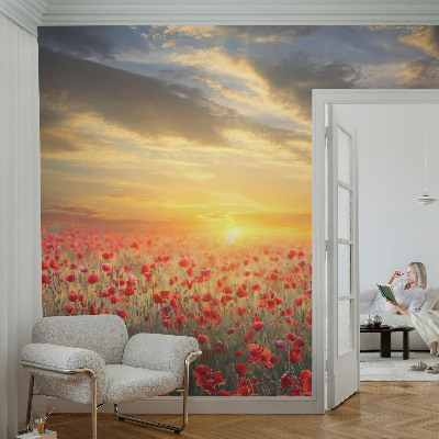 3D fototapet med motiv av ett vallmofält