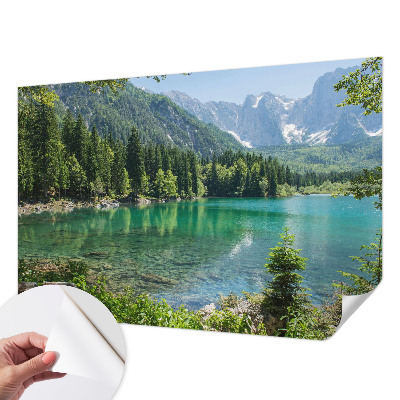 Fototapet för barn Grön sjö