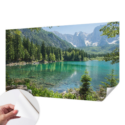 Fototapet för barn Grön sjö