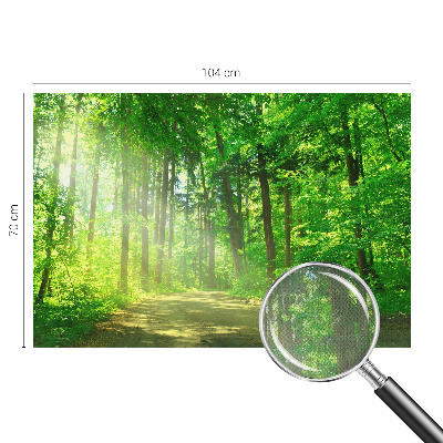 Fototapet barn Skogsstig