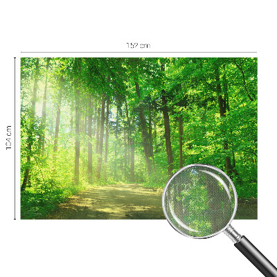 Fototapet barn Skogsstig