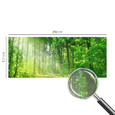 Fototapet barn Skogsstig