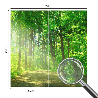 Fototapet barn Skogsstig