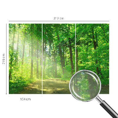 Fototapet barn Skogsstig