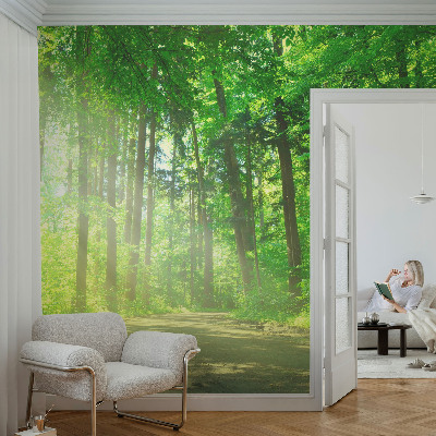 Fototapet barn med motiv av en skogsstig