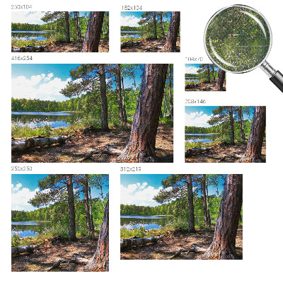 3D fototapet med motiv av ett skogslandskap