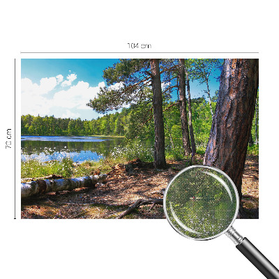 3D fototapet med motiv av ett skogslandskap