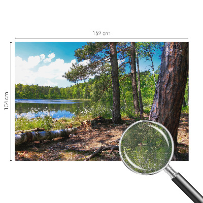 3D fototapet med motiv av ett skogslandskap