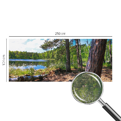 3D fototapet med motiv av ett skogslandskap