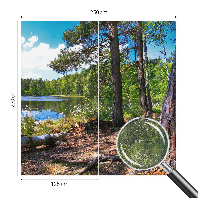 3D fototapet med motiv av ett skogslandskap