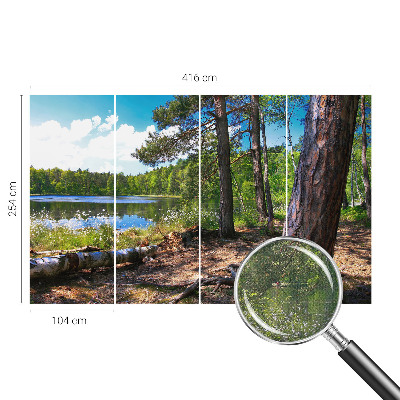 3D fototapet med motiv av ett skogslandskap