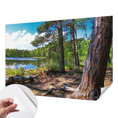3D fototapet med motiv av ett skogslandskap