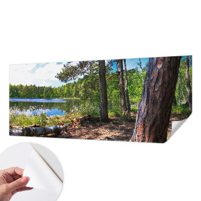 3D fototapet med motiv av ett skogslandskap