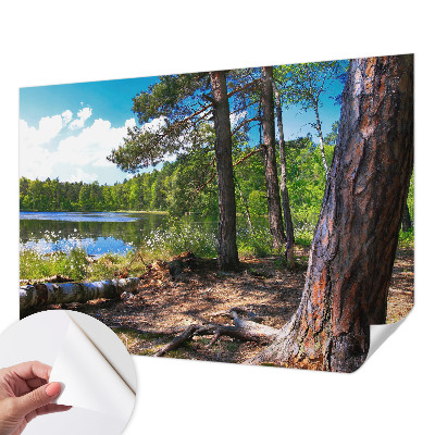 3D fototapet med motiv av ett skogslandskap