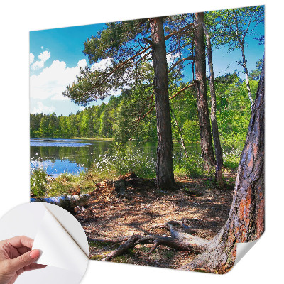 3D fototapet med motiv av ett skogslandskap