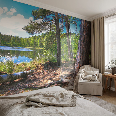3D fototapet med motiv av ett skogslandskap