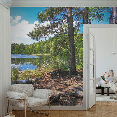 3D fototapet med motiv av ett skogslandskap