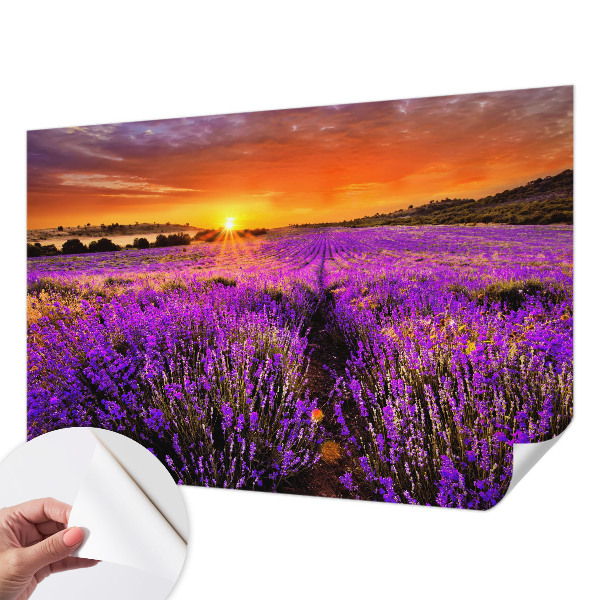 Peel and stick fototapet med motiv av lavendel i solnedgång