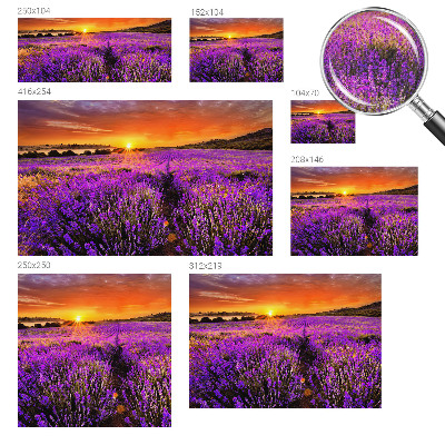 Peel and stick fototapet med motiv av lavendel i solnedgång