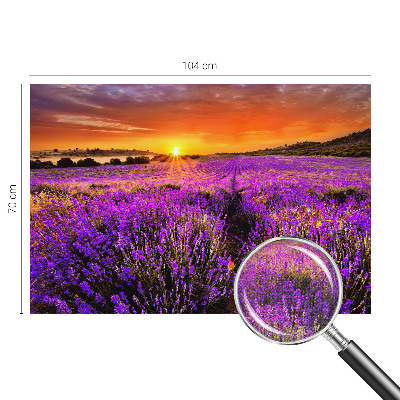 Peel and stick fototapet med motiv av lavendel i solnedgång