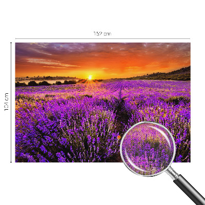 Peel and stick fototapet med motiv av lavendel i solnedgång