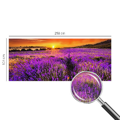 Peel and stick fototapet med motiv av lavendel i solnedgång