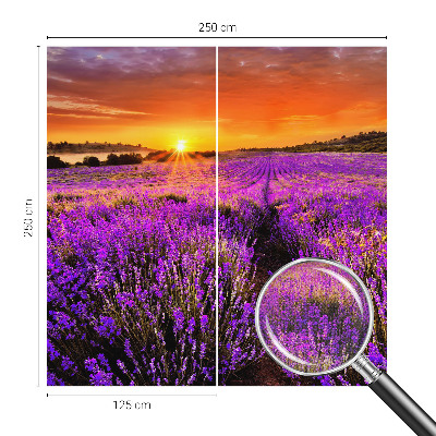 Peel and stick fototapet med motiv av lavendel i solnedgång